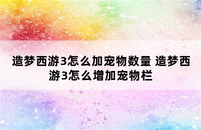 造梦西游3怎么加宠物数量 造梦西游3怎么增加宠物栏